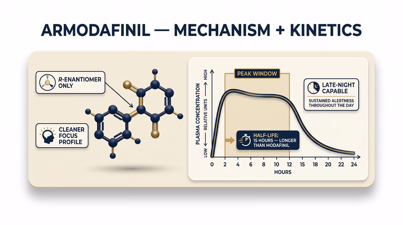 Armodafinil mechanism diagram