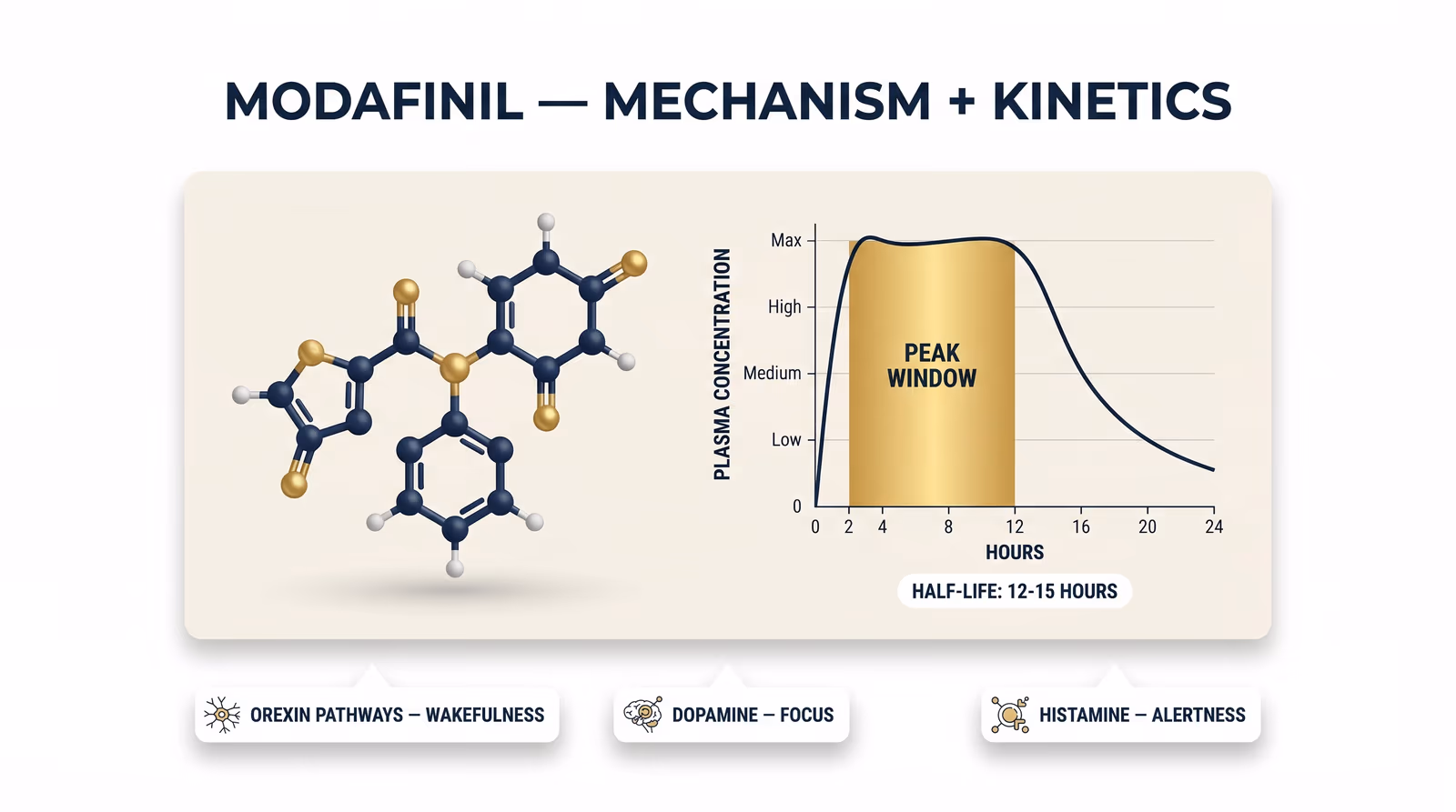 Modafinil mechanism diagram